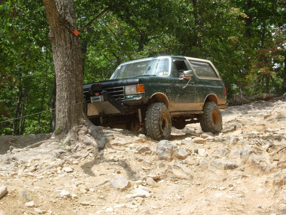 Green Ford Bronco climbing rocky terrain next to a tree