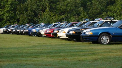 1993 Ford Mustang - Multiple police vehicles are lined up on a grassy field with trees in the background.