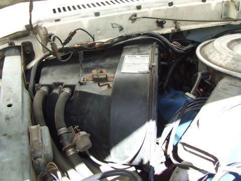 1979 Ford Bronco - This image shows various engine bay components, including hoses and a black housing unit.
