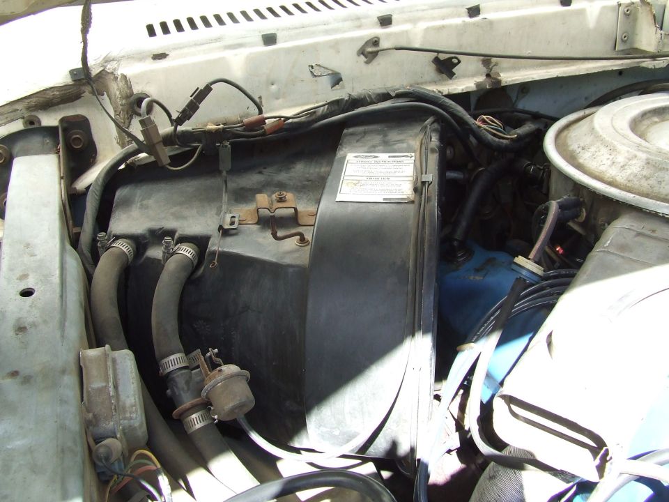 close-up of engine bay with hoses and black plastic housing