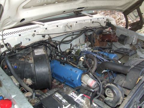 1979 Ford Bronco - The engine bay of a 1979 Ford Bronco shows its blue valve covers and a DieHard battery.