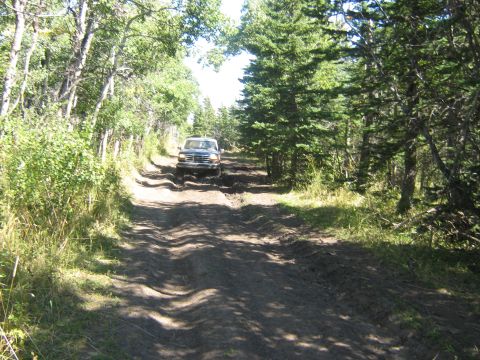 1995 Ford Bronco - A 1995 Ford Bronco navigates a challenging muddy path surrounded by dense trees.