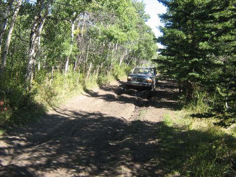 1995 Ford Bronco - Ford Bronco navigating a challenging off-road trail surrounded by dense forest.