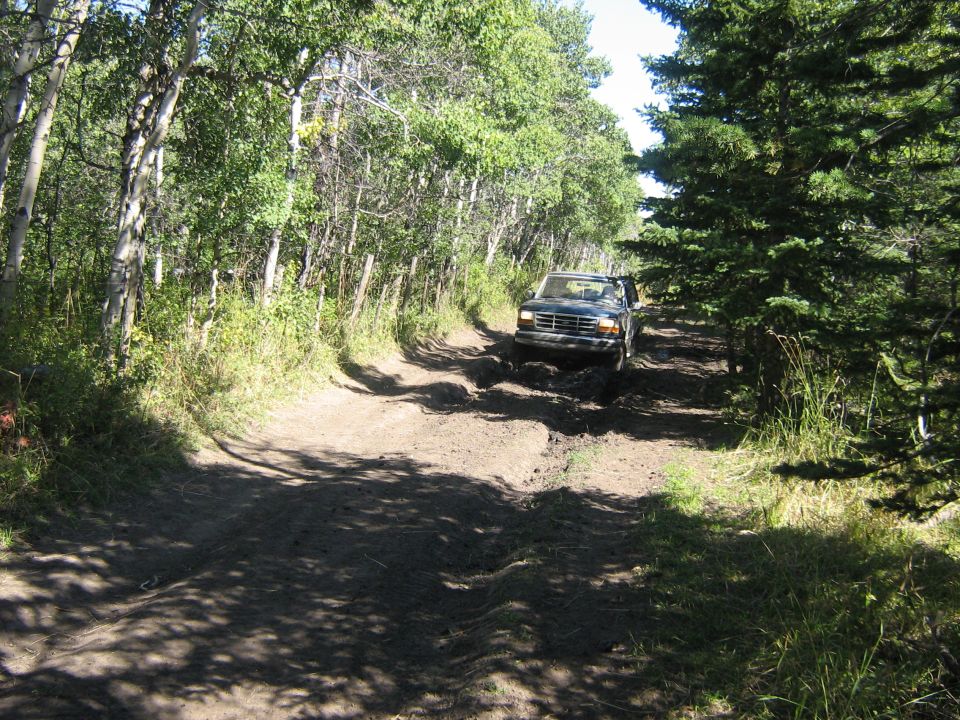 1995 Ford Bronco driving on a muddy, rutted dirt road through trees
