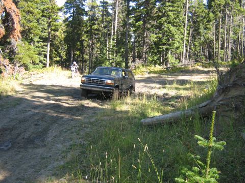 1995 Ford Bronco - A Ford Bronco navigates a wooded trail, with a dirt bike rider following behind.