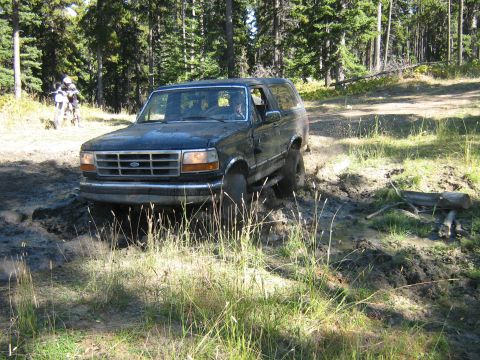 1995 Ford Bronco - A dark blue Ford Bronco navigates a muddy trail surrounded by trees.