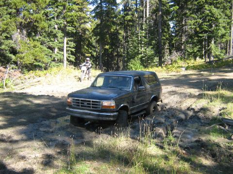 1995 Ford Bronco - Ford Bronco navigating a muddy trail through a wooded area.