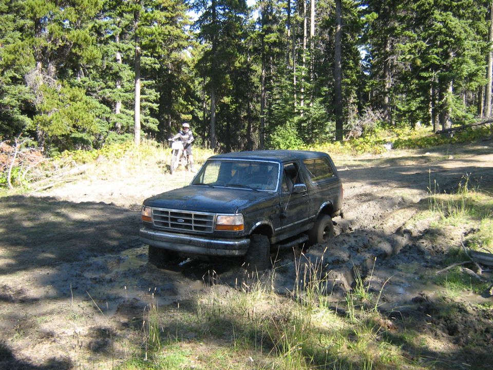 1995 Ford Bronco stuck in mud on a dirt track in a forest