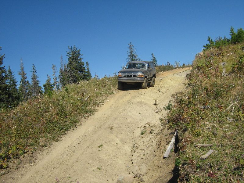 Dark-colored 1995 Ford Bronco driving up a steep dirt road with trees and brush on either side