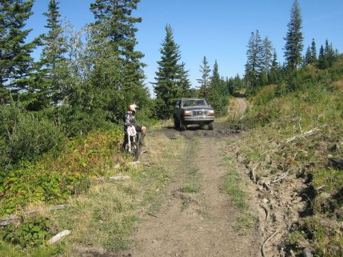1995 Ford Bronco - A 1995 Ford Bronco navigates a muddy trail surrounded by dense forest.