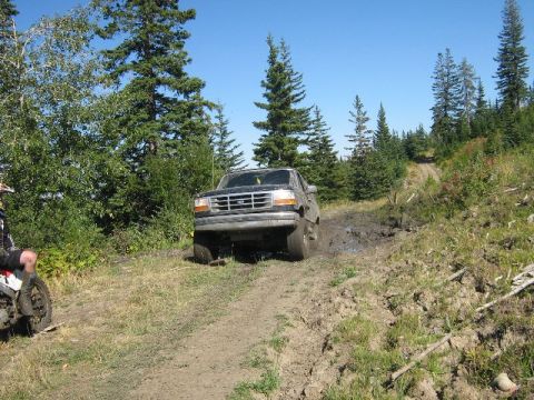 1995 Ford Bronco - Ford Bronco navigating a muddy off-road trail surrounded by pine trees.