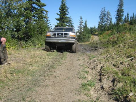 1995 Ford Bronco - A Ford truck is stuck in the mud on a dirt path surrounded by trees.