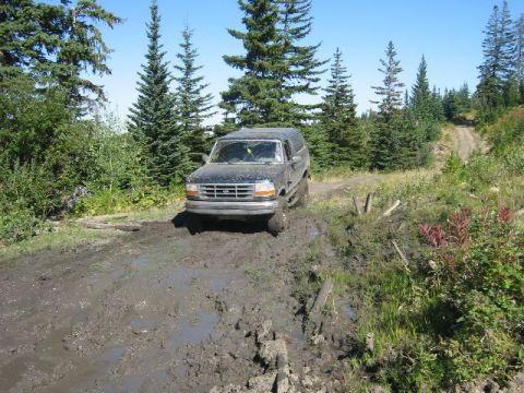 1995 Ford Bronco - A dark-colored Ford Bronco navigates a challenging muddy terrain on a wooded trail.
