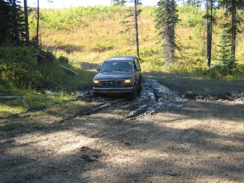 1995 Ford Bronco - A Ford Bronco navigates a muddy trail surrounded by trees and foliage.