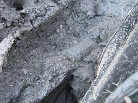 1995 Ford Bronco - Deep tire tracks are visible in the mud, suggesting a vehicle has recently passed through.