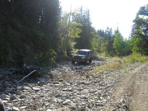 1995 Ford Bronco - Ford Bronco navigates a rough, unpaved path through a forest.