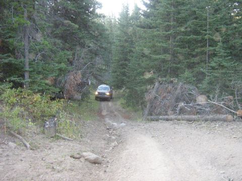 1995 Ford Bronco - 1995 Ford Bronco navigates a rough dirt road in a wooded area.