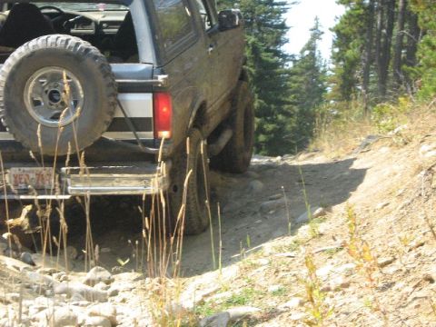 1995 Ford Bronco - SUV navigates a challenging off-road trail with dense trees in the background.