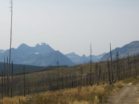 1995 Ford Bronco - A vast mountain vista under a hazy sky, with evidence of a past wildfire in the foreground.
