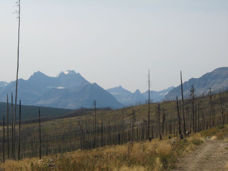 Mountain range with snow-capped peaks, foreground shows dry grass and many burnt trees