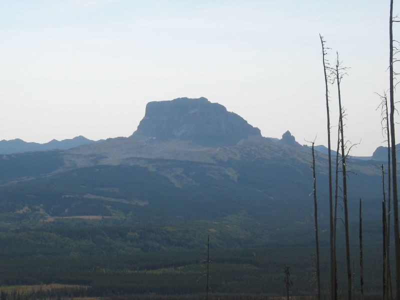 Mountain landscape with dead trees in the foreground and a large mesa in the background