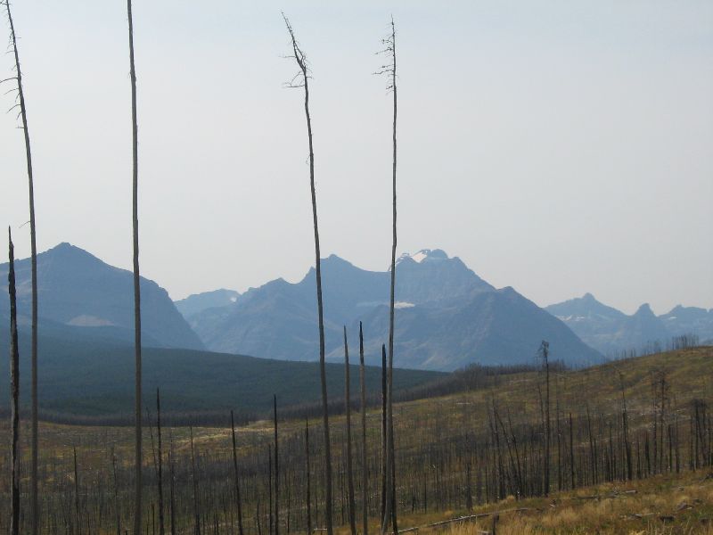 Mountain landscape with dead trees and a "SUPERMOTORS" watermark