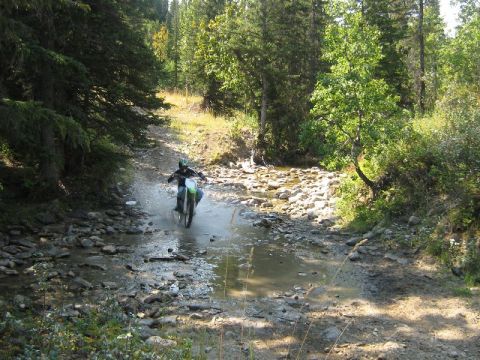 1995 Ford Bronco - Rider navigates a water crossing on a dirt path surrounded by trees.