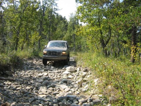 1995 Ford Bronco - A Ford Bronco navigates a challenging, rocky path through a dense forest.