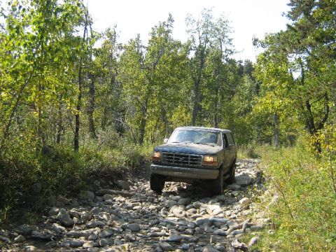 1995 Ford Bronco - A 1995 Ford Bronco navigates a rough, rocky path through a dense forest.