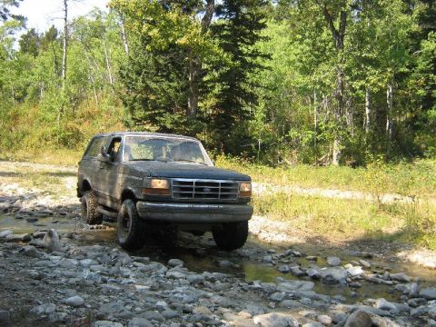 1995 Ford Bronco - A Ford Bronco navigates a rocky stream bed, surrounded by lush green trees and vegetation.