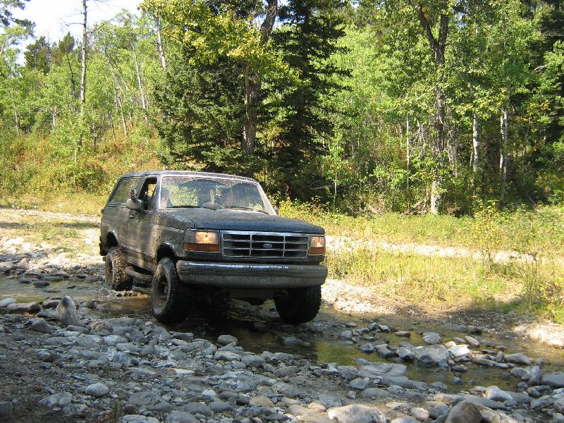 Dark-colored Ford Bronco driving through a shallow, rocky stream with trees and foliage in the background