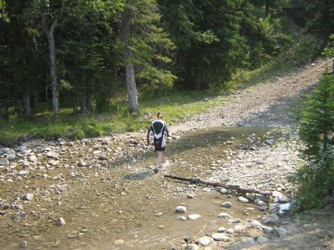 1995 Ford Bronco - A person crosses a shallow, rocky stream in a forest setting.