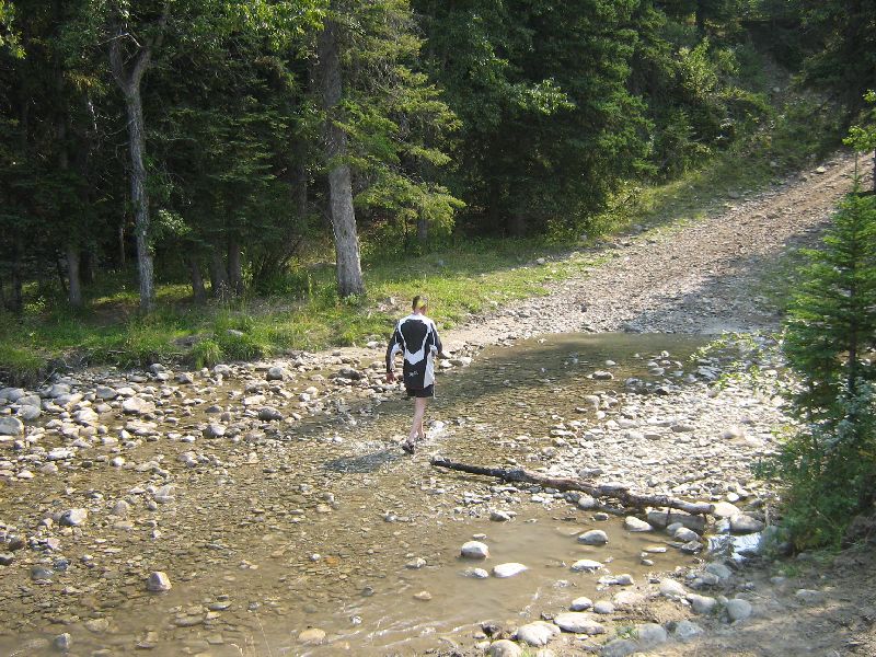 Person walks across rocky stream bed in wooded area