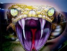 1978 Ford Mustang II - A close-up of a snake's head, with its fangs and tongue prominently displayed.