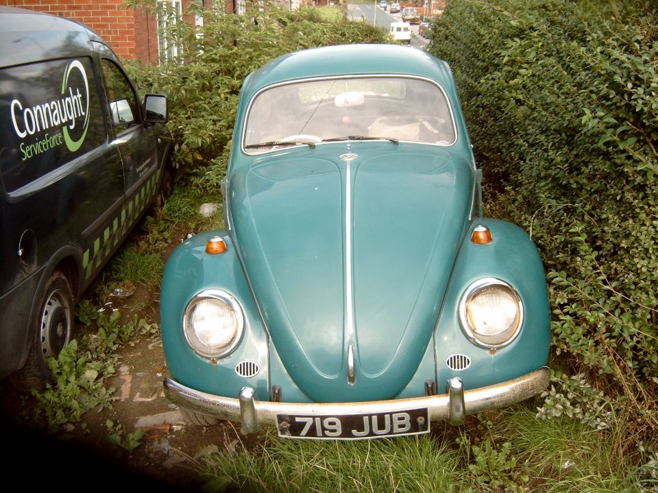 Teal classic VW Beetle, front view, plate 719 JUB, parked in overgrown grass next to a hedge