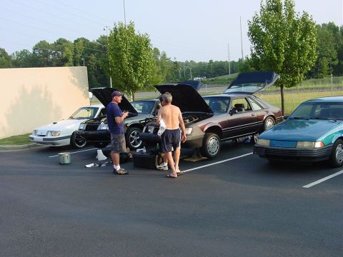 1986 Ford Mustang - Three cars, including a 1986 Ford Mustang, are parked with hoods open as people work on them.