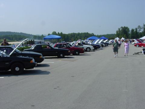 1986 Ford Mustang - A line of Ford Mustangs are parked at an outdoor event, with some hoods open.