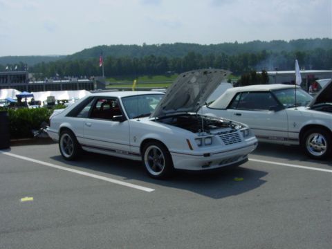 1986 Ford Mustang - Two white Ford Mustangs, a coupe and a convertible, are parked side-by-side at an outdoor event.