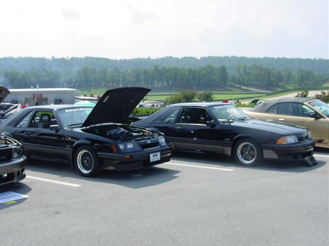 1986 Ford Mustang - Two black Ford Mustangs are parked at an outdoor event, one with its hood open.