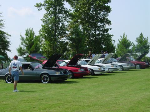 1986 Ford Mustang - Several Ford Mustangs are displayed with their hoods open at an outdoor car show.