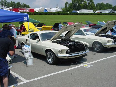 1986 Ford Mustang - Two classic Ford Mustangs displayed at an outdoor car show, engines exposed for viewing.