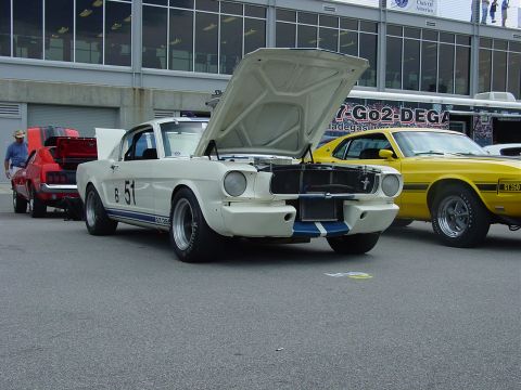 1986 Ford Mustang - Two Ford Mustangs, a 1965 GT350 and a 1970 model, parked with hoods open at an event.