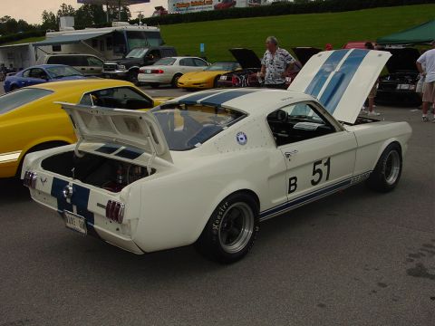 1986 Ford Mustang - A white 1965 Ford Mustang Shelby GT350, race car number 51, is displayed with both hoods open at an outdoor car event.