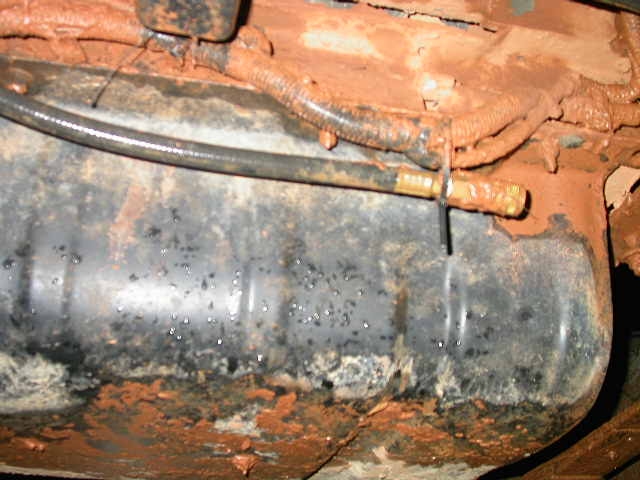 Rear hose.   I originally intended for the tie wrap to just be a temporary thing, but it's held the hose there for better than a dozen wheeling trips.  No reason to mess with success.