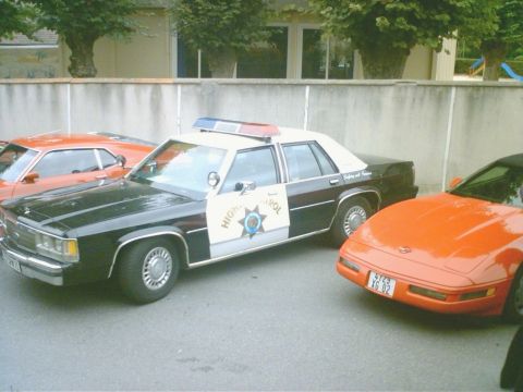 1991 Ford Crown Victoria - A 1991 Ford Crown Victoria police car is parked between two orange vehicles.