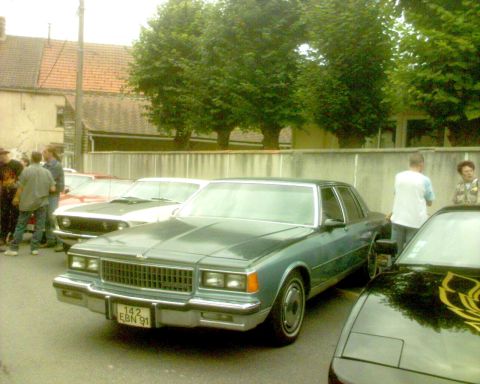 1991 Ford Crown Victoria - Marc's 1978 Caprice