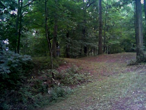 1997 Ford Probe - A disc golf basket is visible amongst the trees in a park-like setting.
