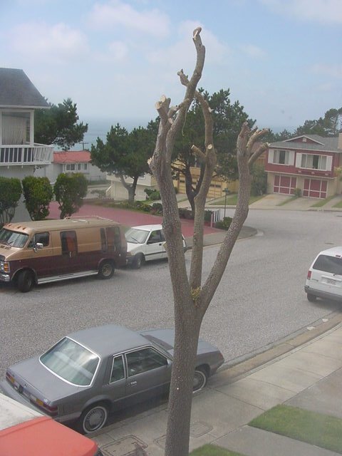 1979 Ford Bronco - A gray 1979 Ford Bronco is parked on the street, with other vehicles and houses in the background.