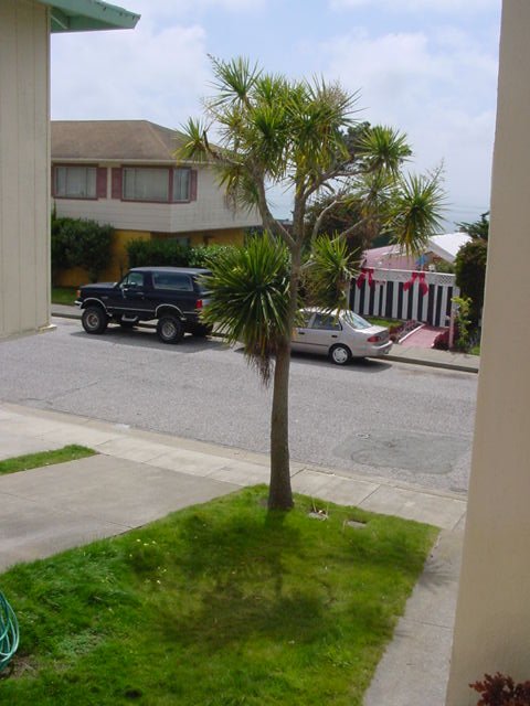 1979 Ford Bronco - A 1979 Ford Bronco is parked on the street next to a sedan, with a tree in the foreground.