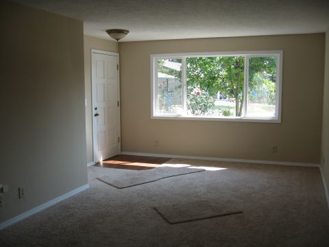 1994 Ford Probe - Interior view of a room with a door and a window overlooking an outdoor scene.